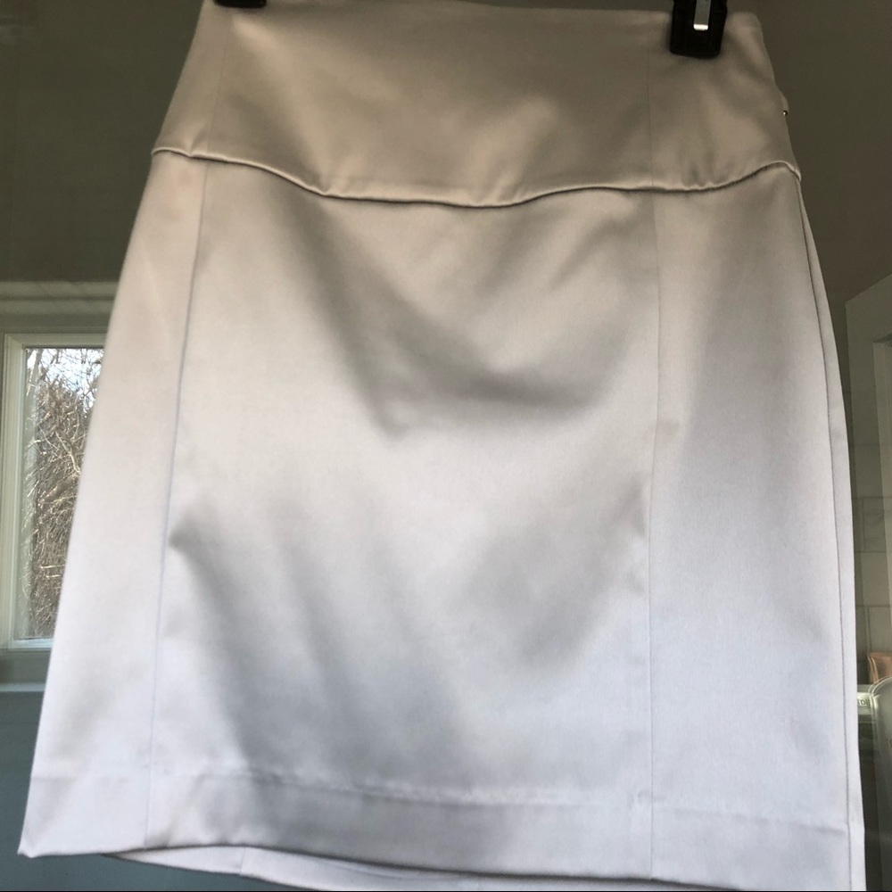 Pencil skirt
